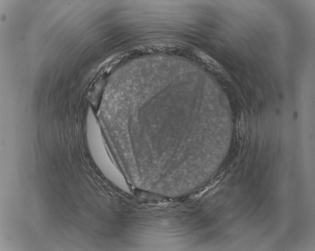 X0000064770822200603131431