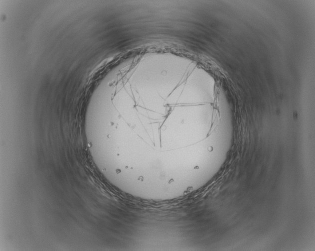 X0000064770824200603131431