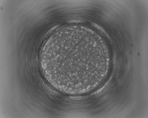 X0000064770825200603131431