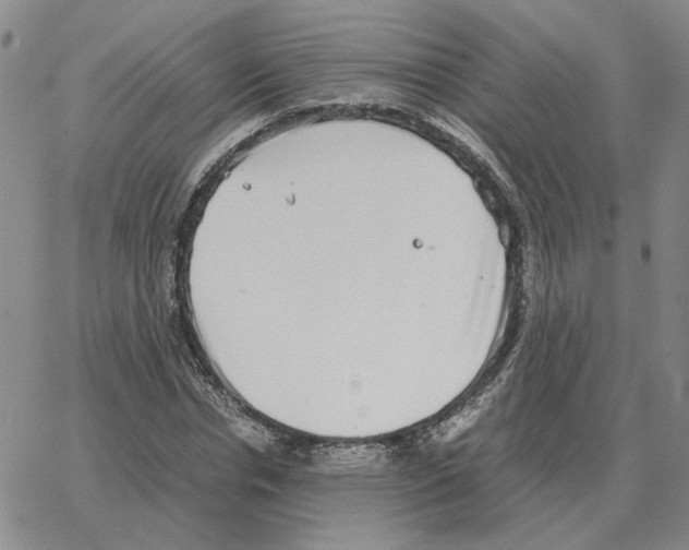 X0000064770826200603131431