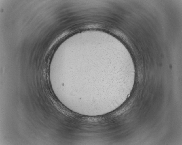 X0000064770827200603131431