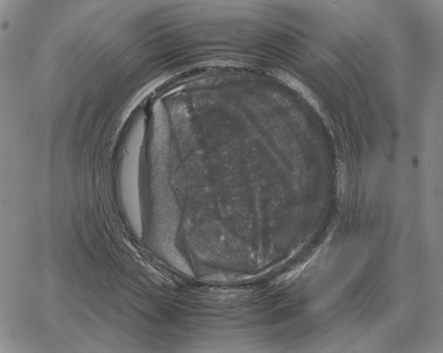 X0000064770829200603131431