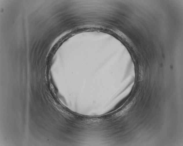 X0000064770830200603131431