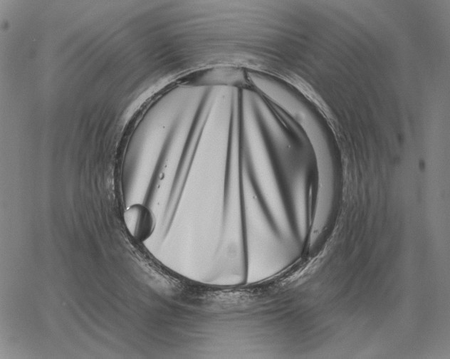 X0000064770834200603131431