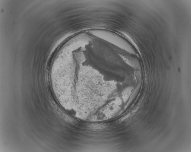 X0000064770835200603131432