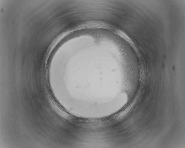 X0000064770836200603131432