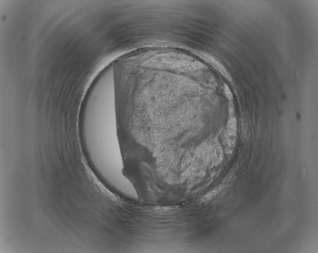 X0000064770839200603131432