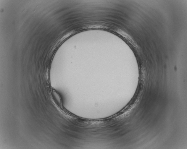 X0000064770841200603131432