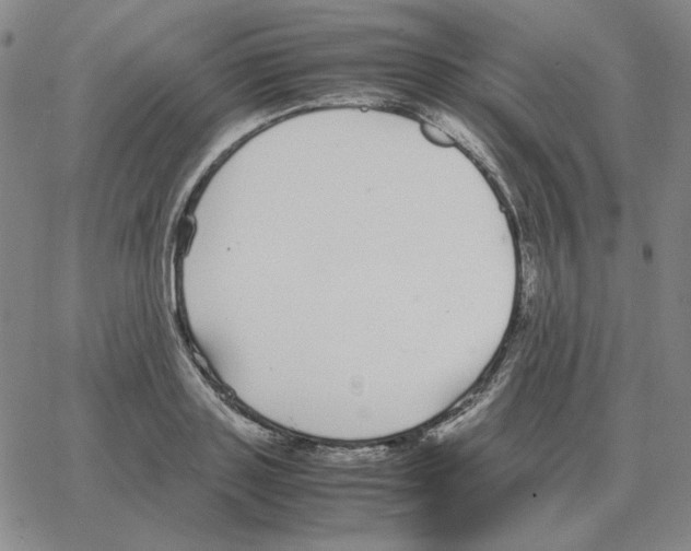 X0000064770843200603131432