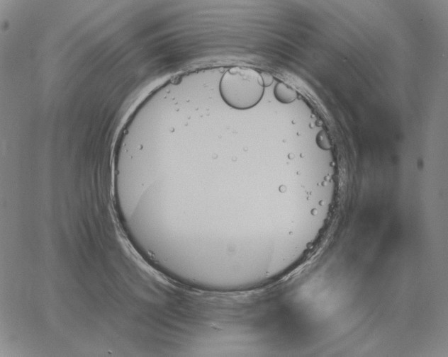 X0000064770844200603131432