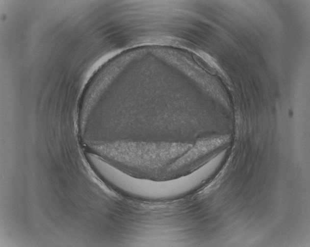 X0000064770846200603131432