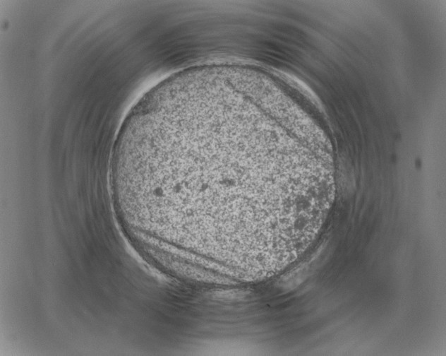 X0000064770847200603131432