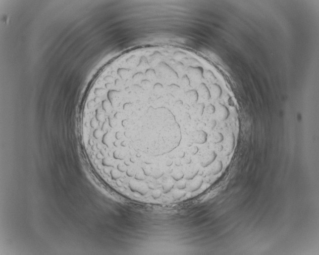 X0000064770848200603131432