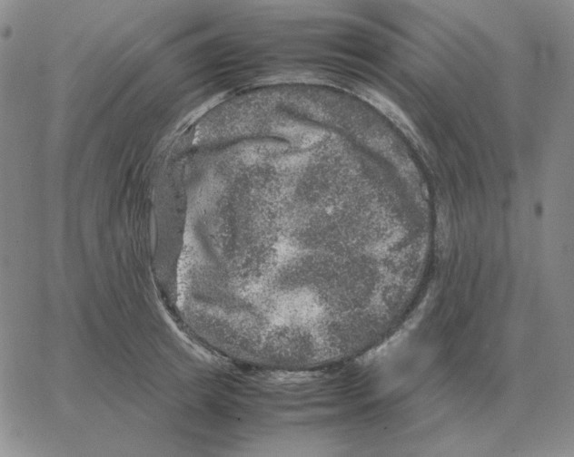 X0000064770849200603131432