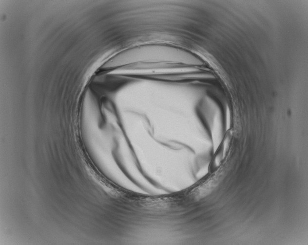 X0000064770850200603131432