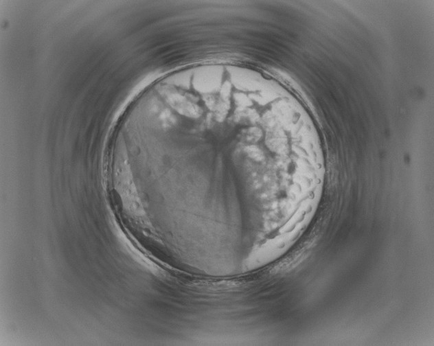 X0000064770851200603131432