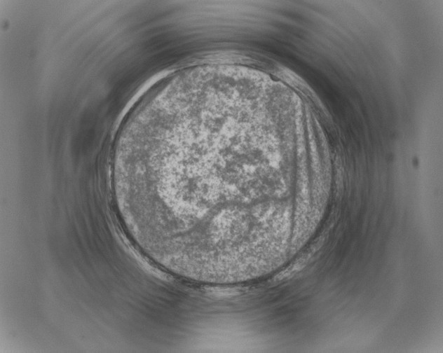 X0000064770852200603131432