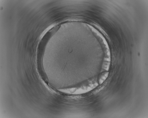 X0000064770853200603131432