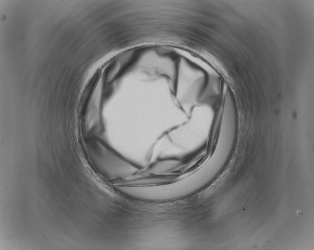 X0000064770854200603131432