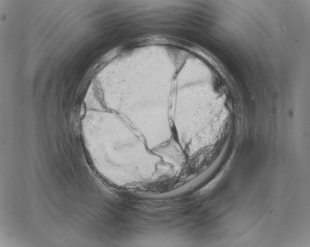 X0000064770857200603131432