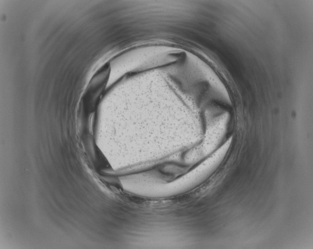 X0000064770858200603131432