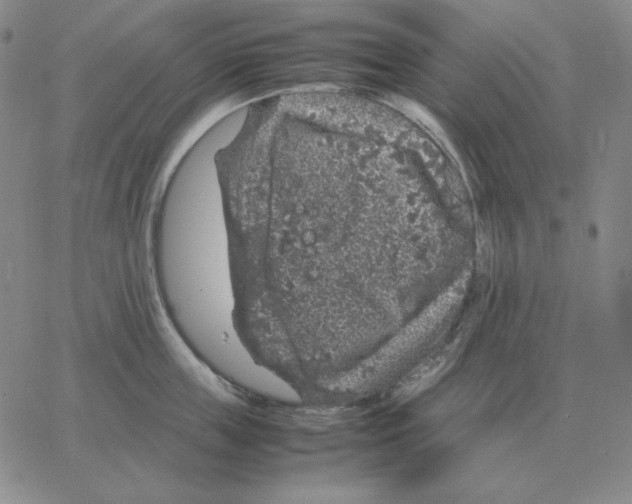 X0000064770859200603131432