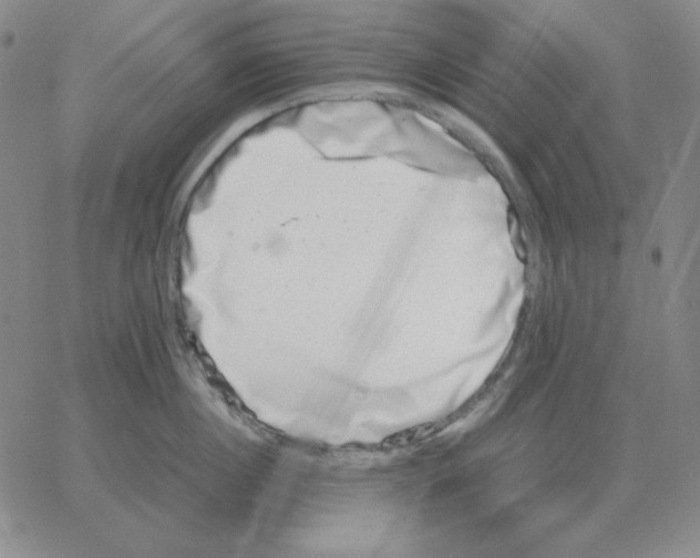 X0000064770860200603131432