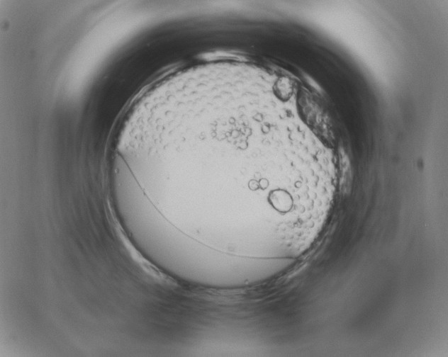 X0000064770861200603131432