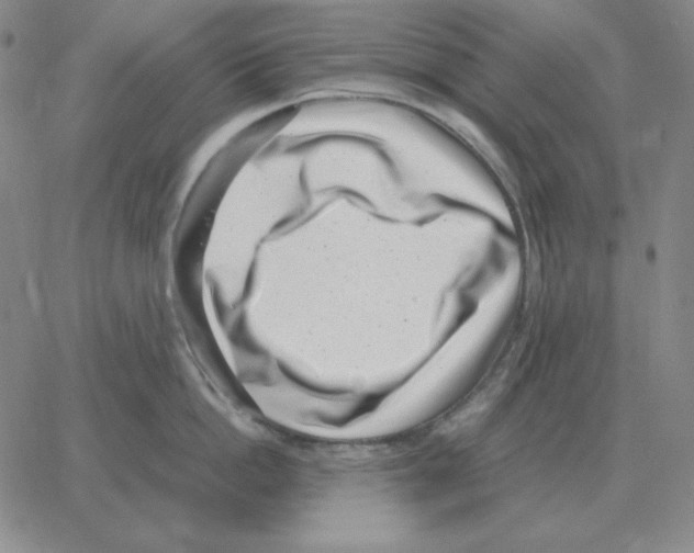 X0000064770862200603131432