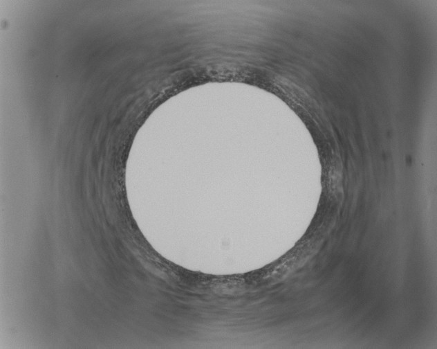 X0000064770865200603131431