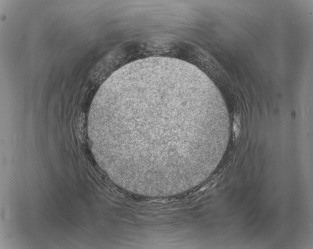 X0000064770867200603131431