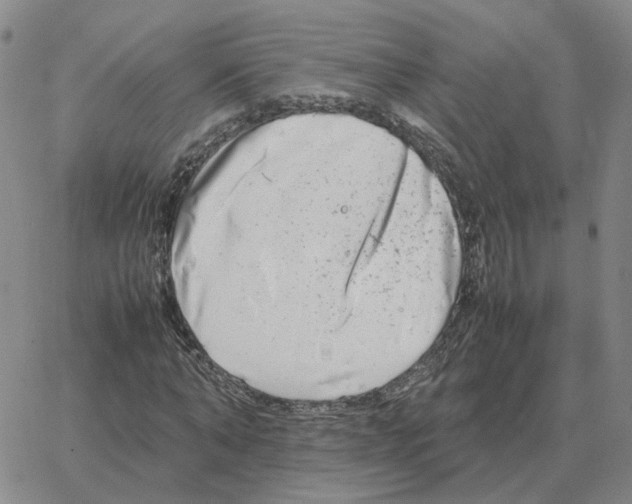 X0000064770870200603131431