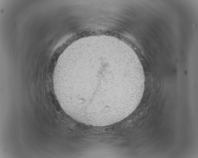 X0000064770871200603131431