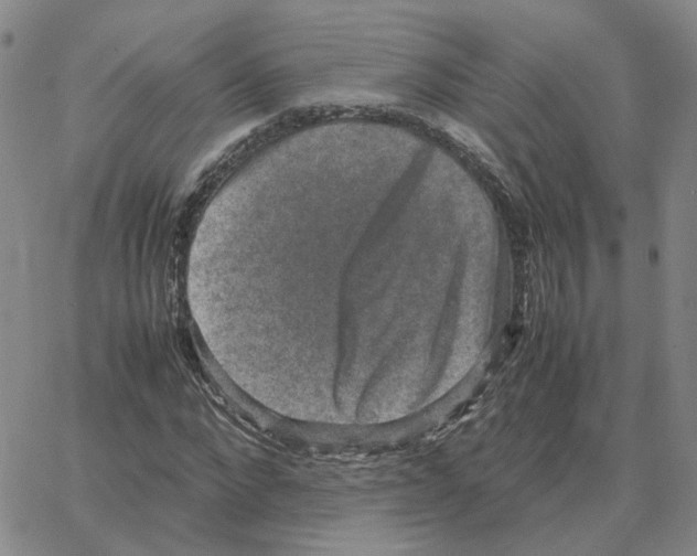 X0000064770872200603131431