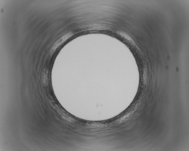 X0000064770873200603131431