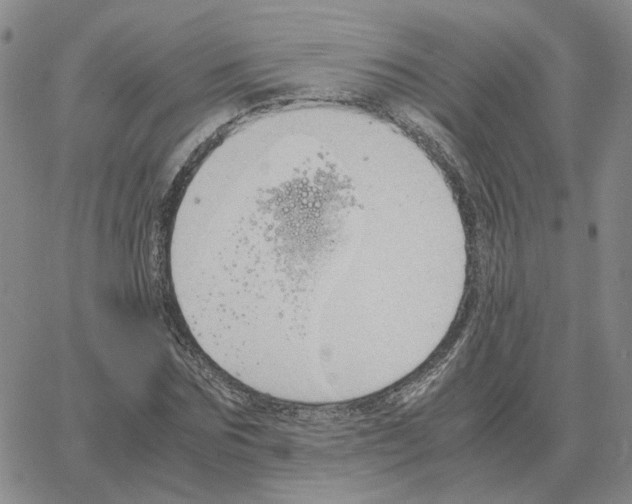 X0000064770875200603131431