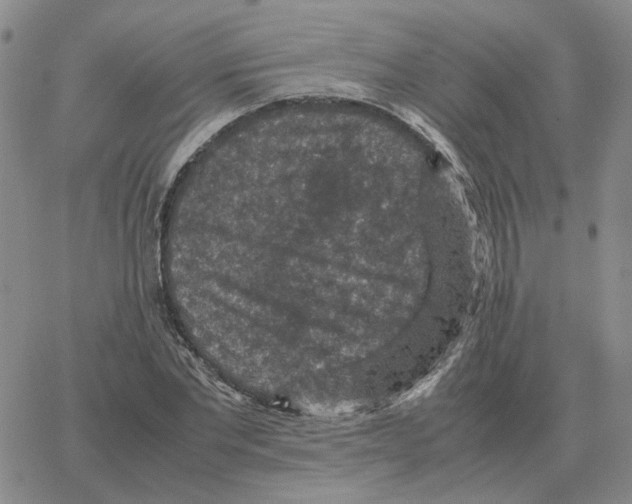 X0000064770877200603131431