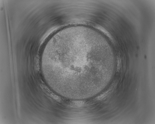 X0000064770878200603131431