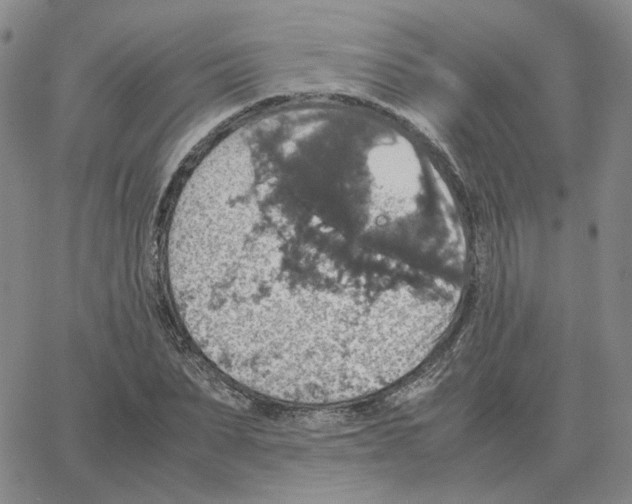 X0000064770879200603131431