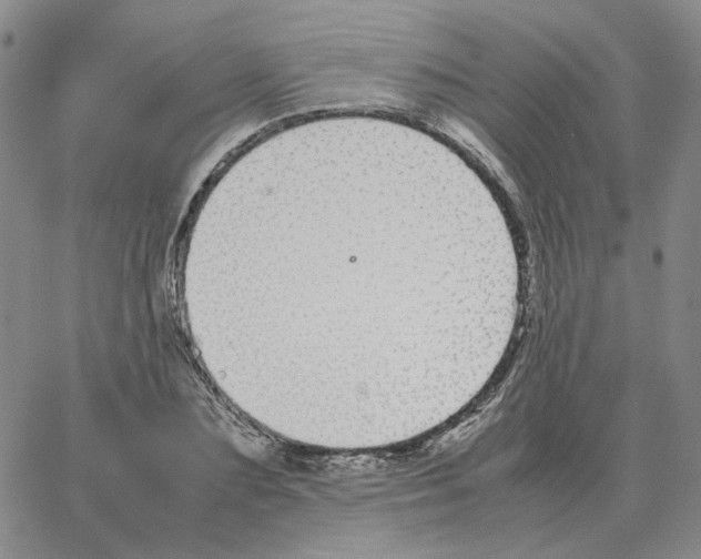 X0000064770883200603131431