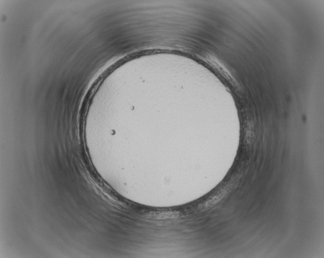 X0000064770884200603131431