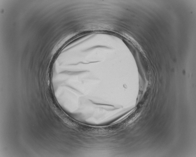 X0000064770885200603131431