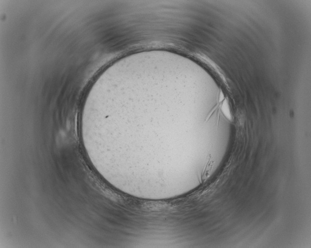 X0000064770886200603131431