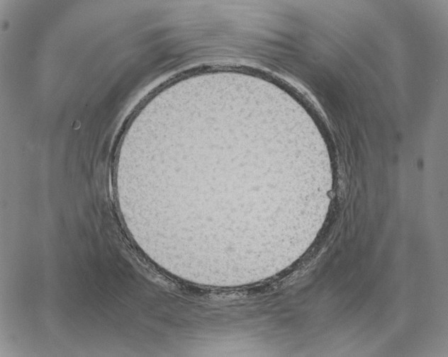 X0000064770887200603131431