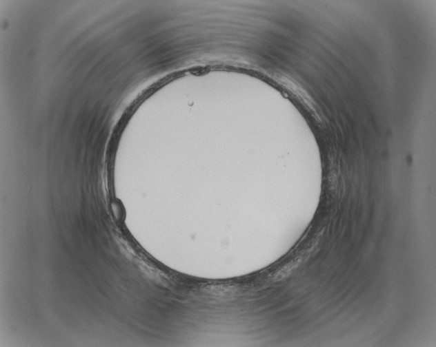 X0000064770888200603131431