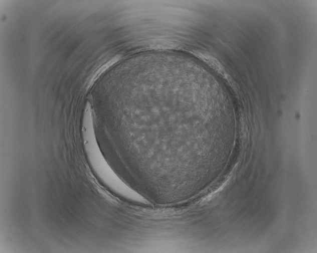 X0000064770889200603131431