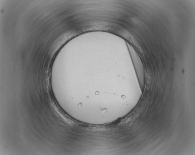 X0000064770890200603131431