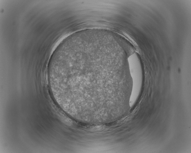 X0000064770891200603131431