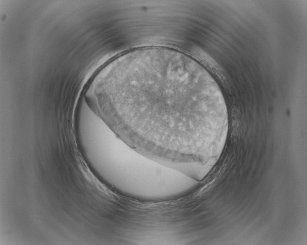 X0000064770892200603131431