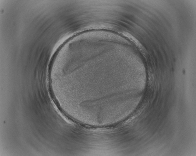 X0000064770894200603131431